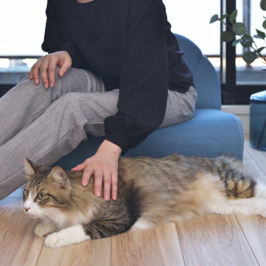 東谷 ペットソファ 幅59cm ファブリック 貝殻 （ ペットベッド 座椅子