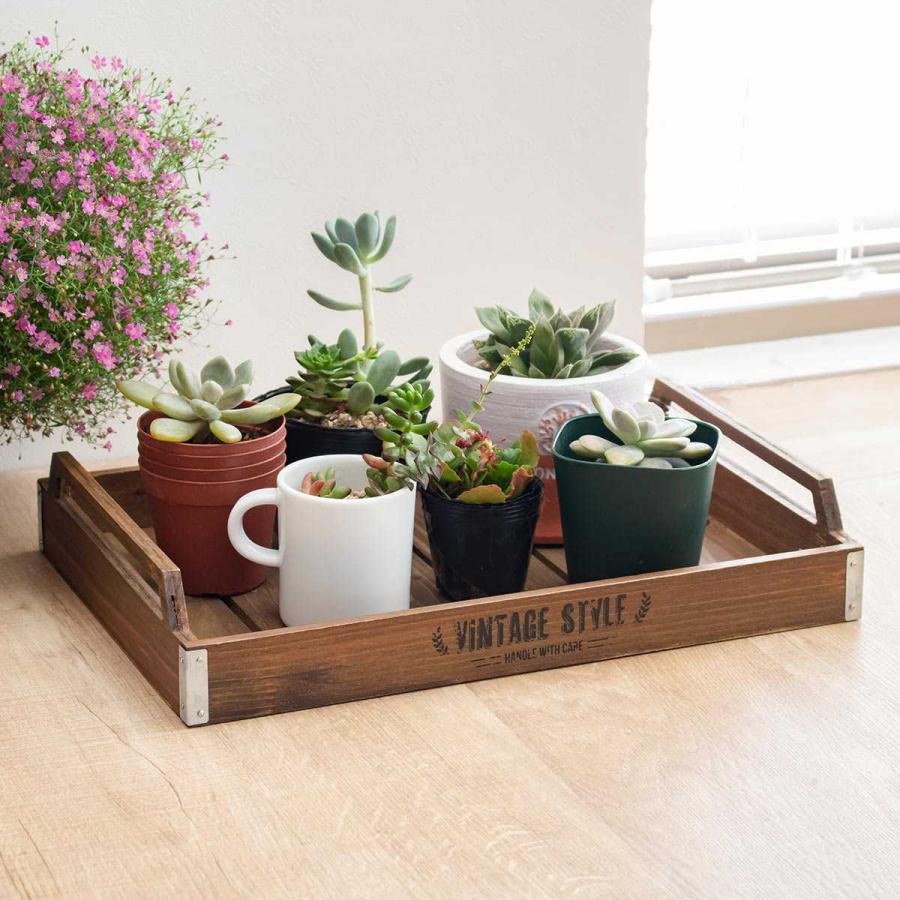 収納ボックス ホルツ トレー （ 幅36×奥行25×高さ6.5cm トレイ