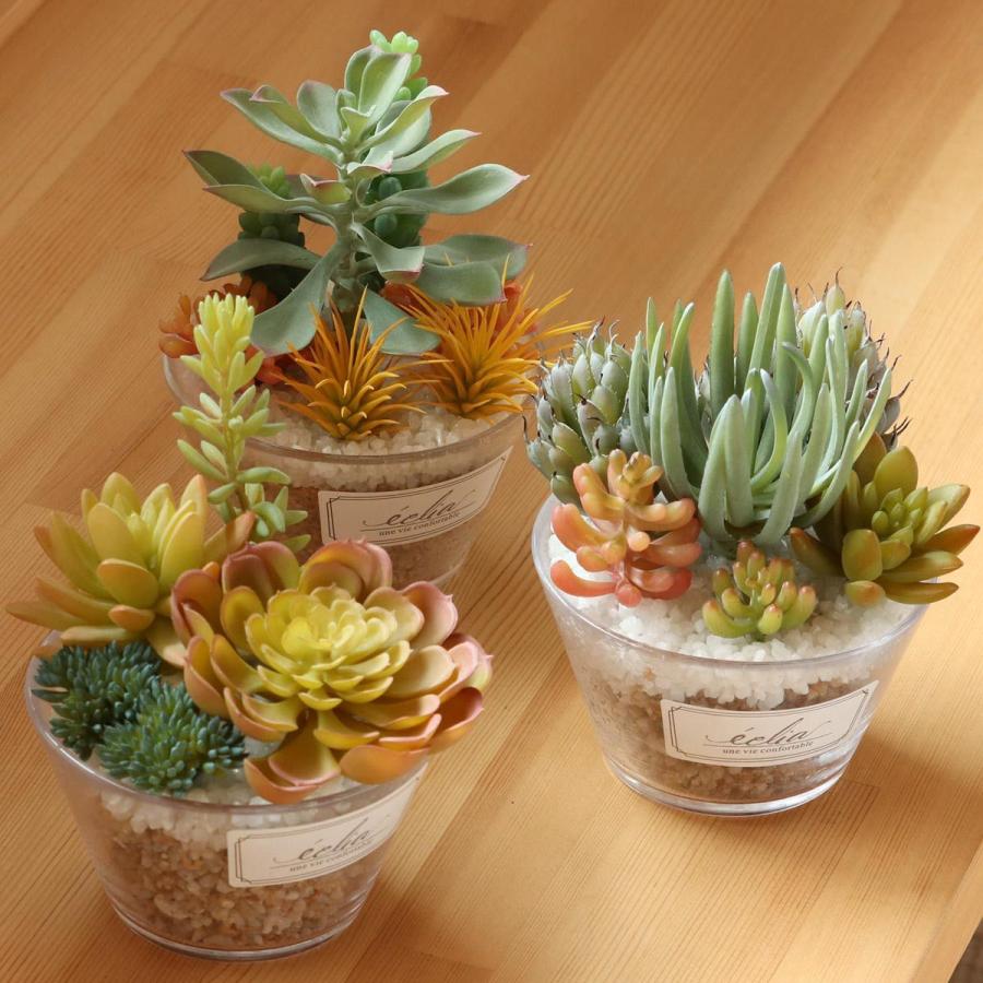 キシマ フェイクグリーン エクリア 消臭アーティフィシャル