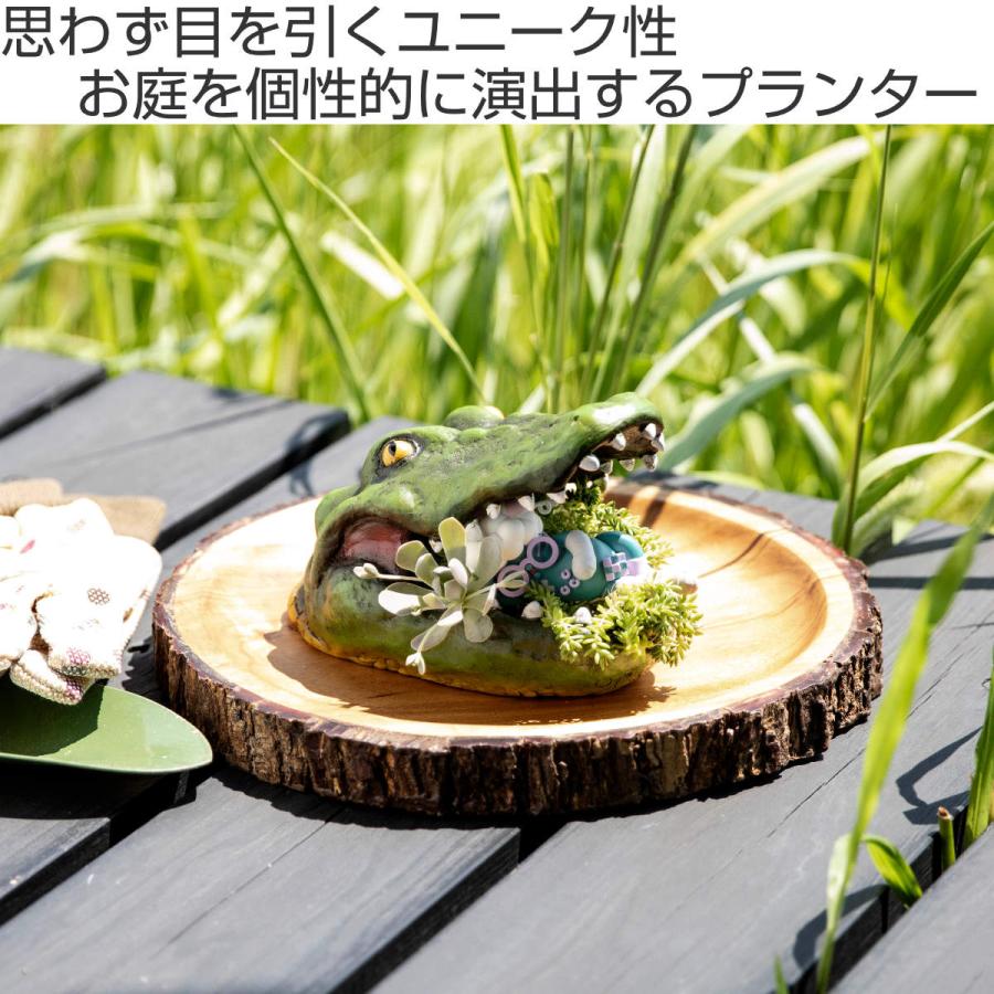 プランター がぶりアニマル ワニ （ 植木鉢 プラントポット 植物用