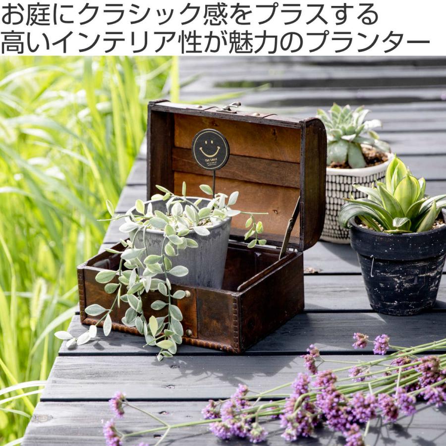 プランター トレジャーボックスポット L ブラウン （ 植木鉢