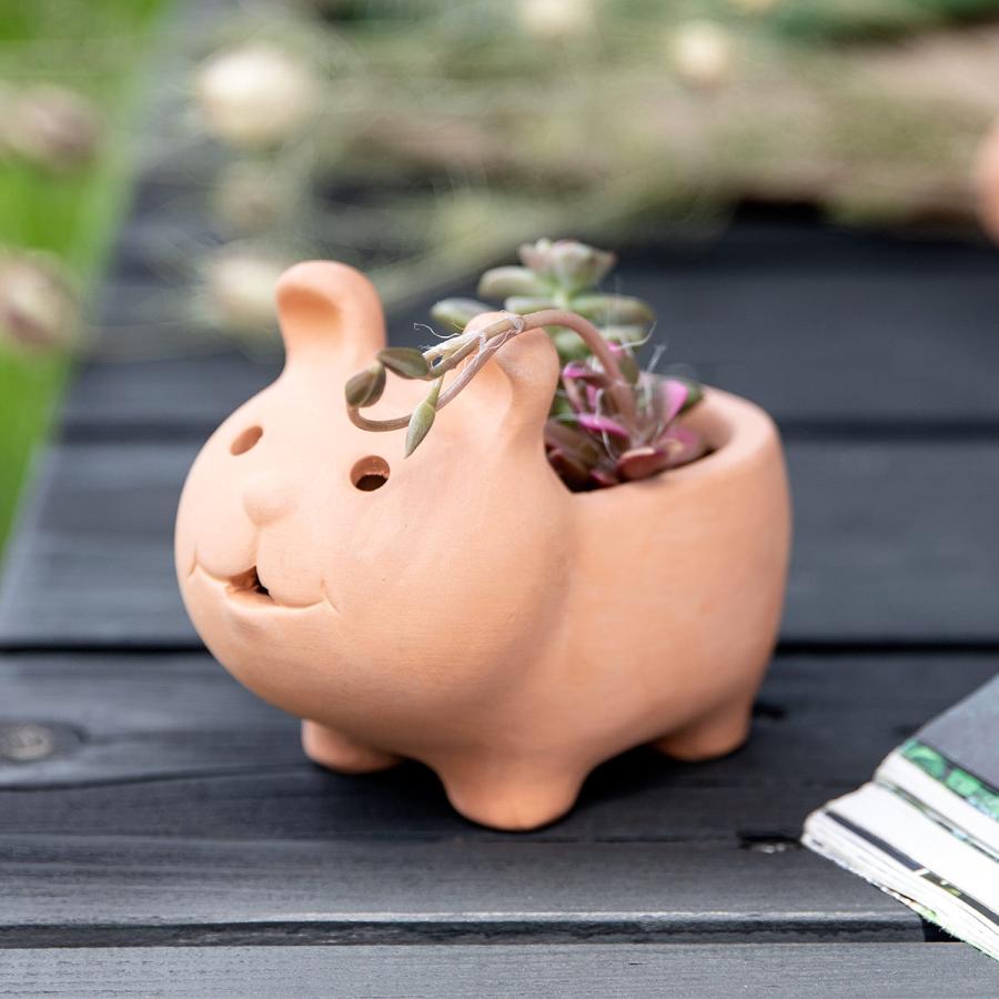 プランター アニマルテラコッタポット ウサギ 2号 （ 植木鉢 プラント