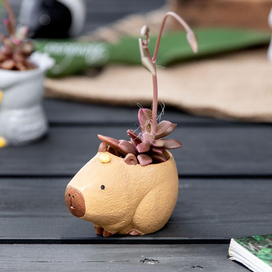 新品　 Kastehelmi プラントポット 2個セット　おまけ付 新品 iittala Kastehelmi プラントポット 2個セット おまけ付 - メルカリ