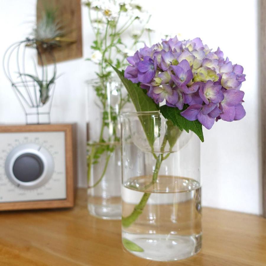 花瓶 BULB VASE 水栽培ガラスベース クリア ショート （ 花器 フラワーベース 花 グリーン 栽培 卓上花瓶 ）｜livingut｜10