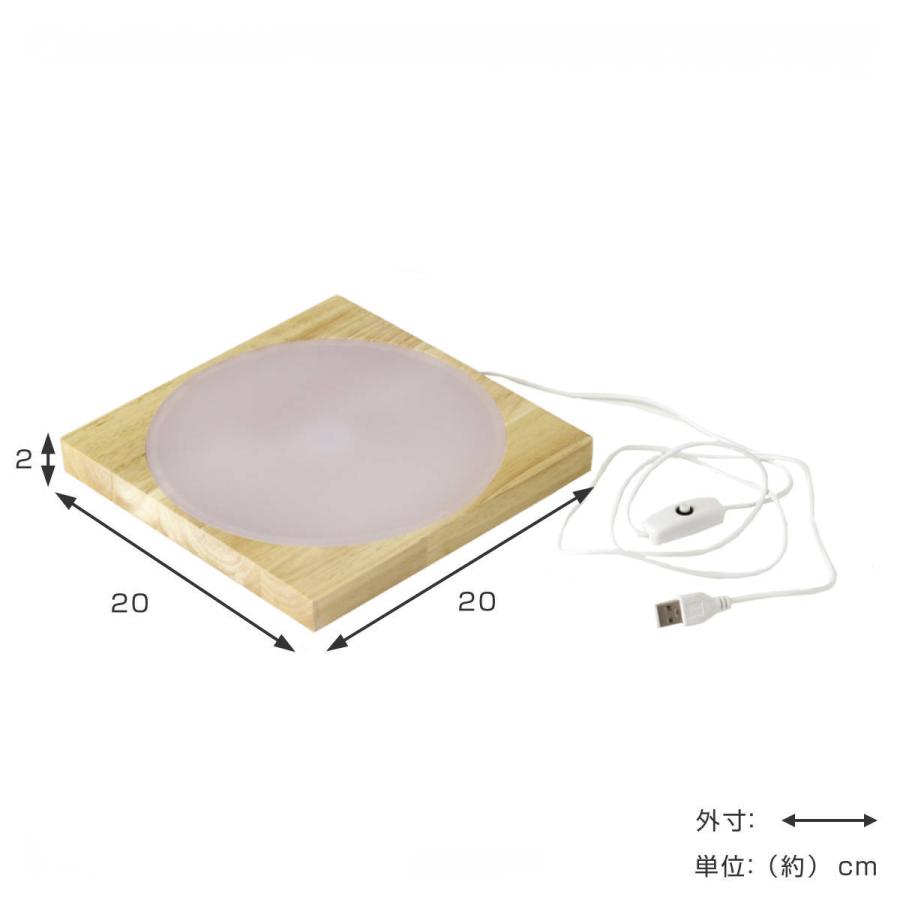 フラワーベース LEDディスプレイライト USBタイプ Lサイズ （ 照明