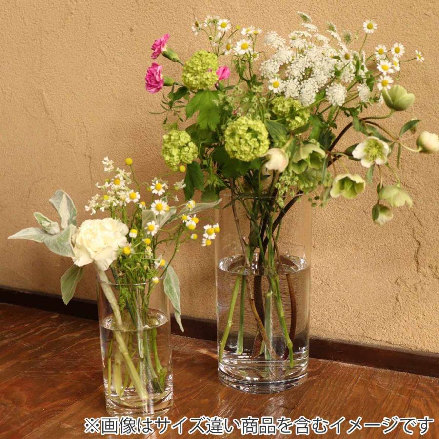 花瓶 割れないガラス PVシリンダー 直径12×高さ50cm ( 花びん 花瓶 割れないガラス PVシリンダー 直径12×高さ50cm ( 花びん