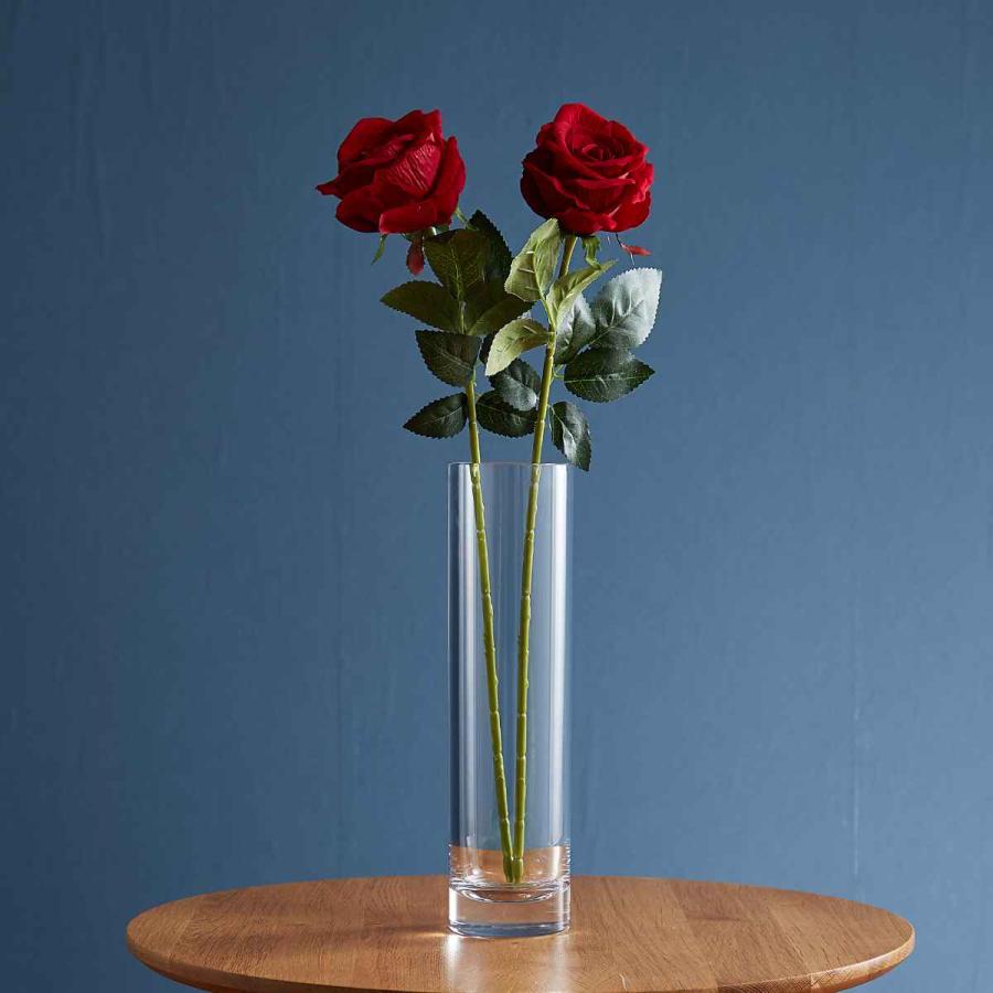 花瓶 PVシリンダー 直径8×高さ30cm ( 花びん 花器 シリンダー 花瓶 PVシリンダー 直径8×高さ30cm ( 花びん 花器 シリンダー