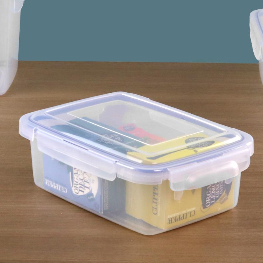 保存容器 3L SLジャンボケース 抗菌 （ 密閉 4面ロック プラスチック