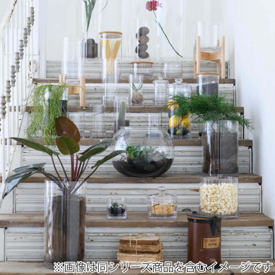 花瓶 割れないガラス PV球形 直径60×高さ45cm （ 花びん 花器 フラワー