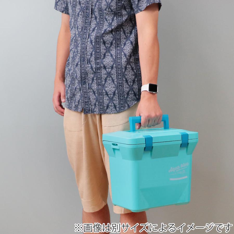伸和（SHINWA） クーラーボックス 15L アクアブルー ハードタイプ