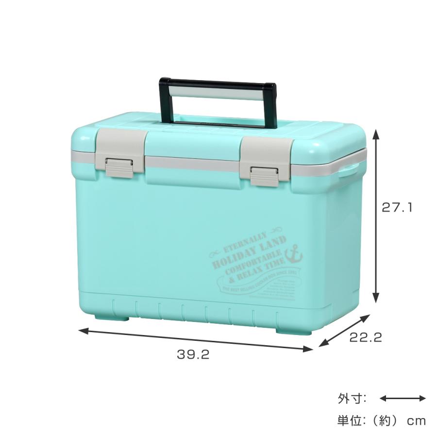 伸和( 日用品、アウトドア用品) クーラーボックス 11L 伸和( 日用品、アウトドア用品) クーラーボックス 11L