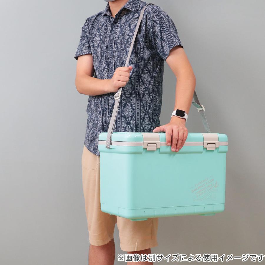 伸和( 日用品、アウトドア用品) クーラーボックス 17L 伸和( 日用品、アウトドア用品) クーラーボックス 17L