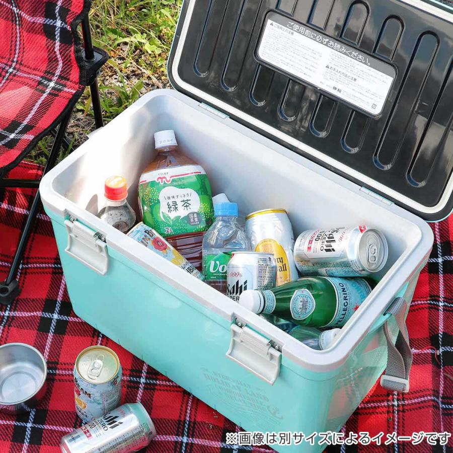 伸和( 日用品、アウトドア用品) クーラーボックス 17L 伸和( 日用品、アウトドア用品) クーラーボックス 17L