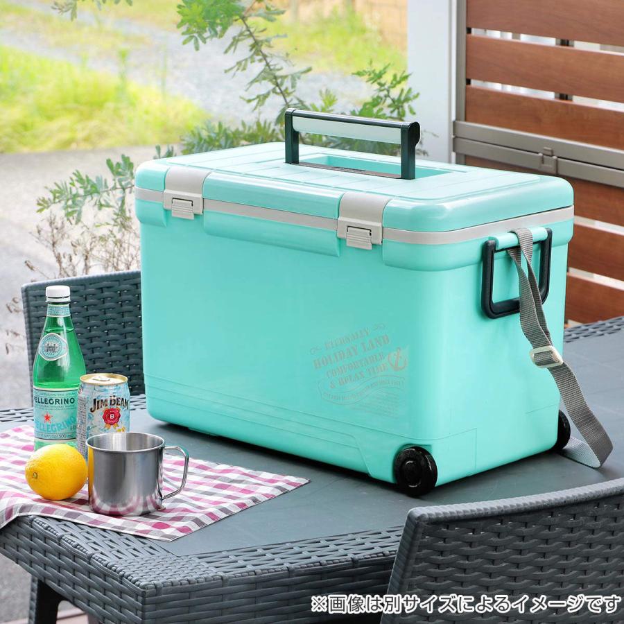 伸和（SHINWA） クーラーボックス 27L ホリデーランドクーラー ハード