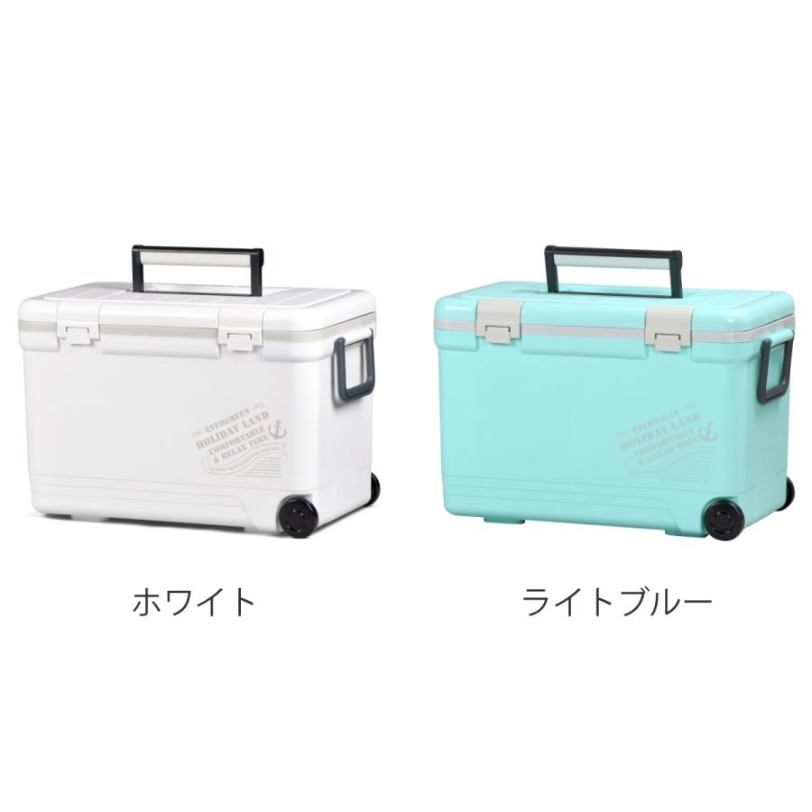伸和（SHINWA） クーラーボックス 27L ホリデーランドクーラー ハード
