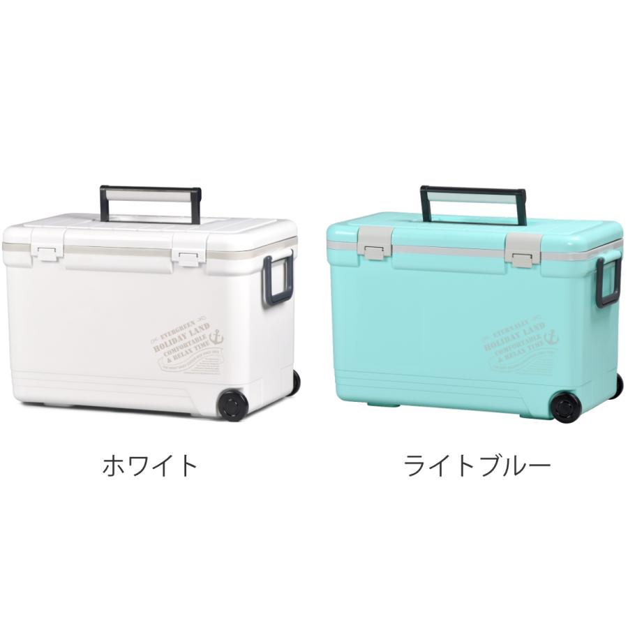 伸和（SHINWA） クーラーボックス 33L ホリデーランドクーラー ハード