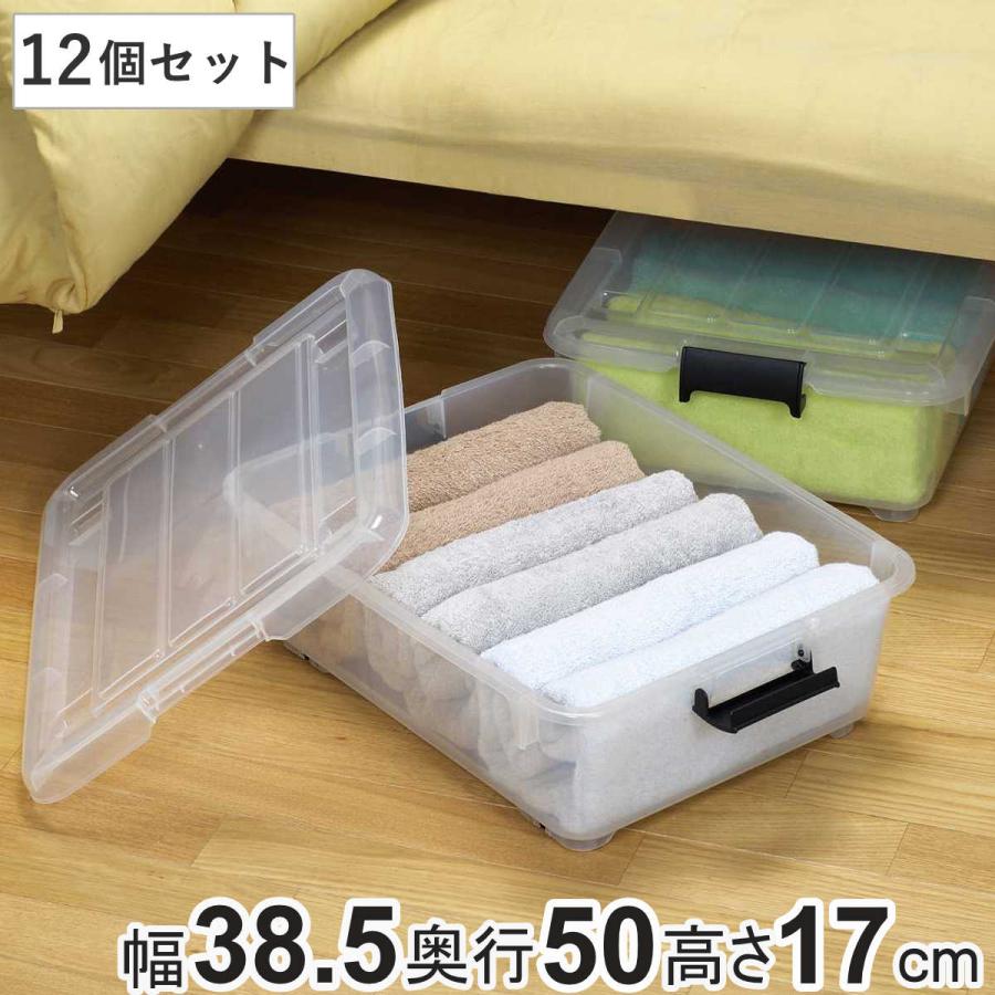 JEJアステージ 衣装ケース クローゼット 収納ケース コロモ 幅38.5