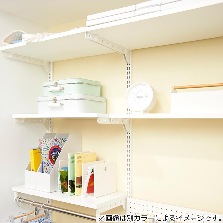 壁面収納 棚 幅45cm 奥行30cm フィットラック TSセット 木目ホワイト