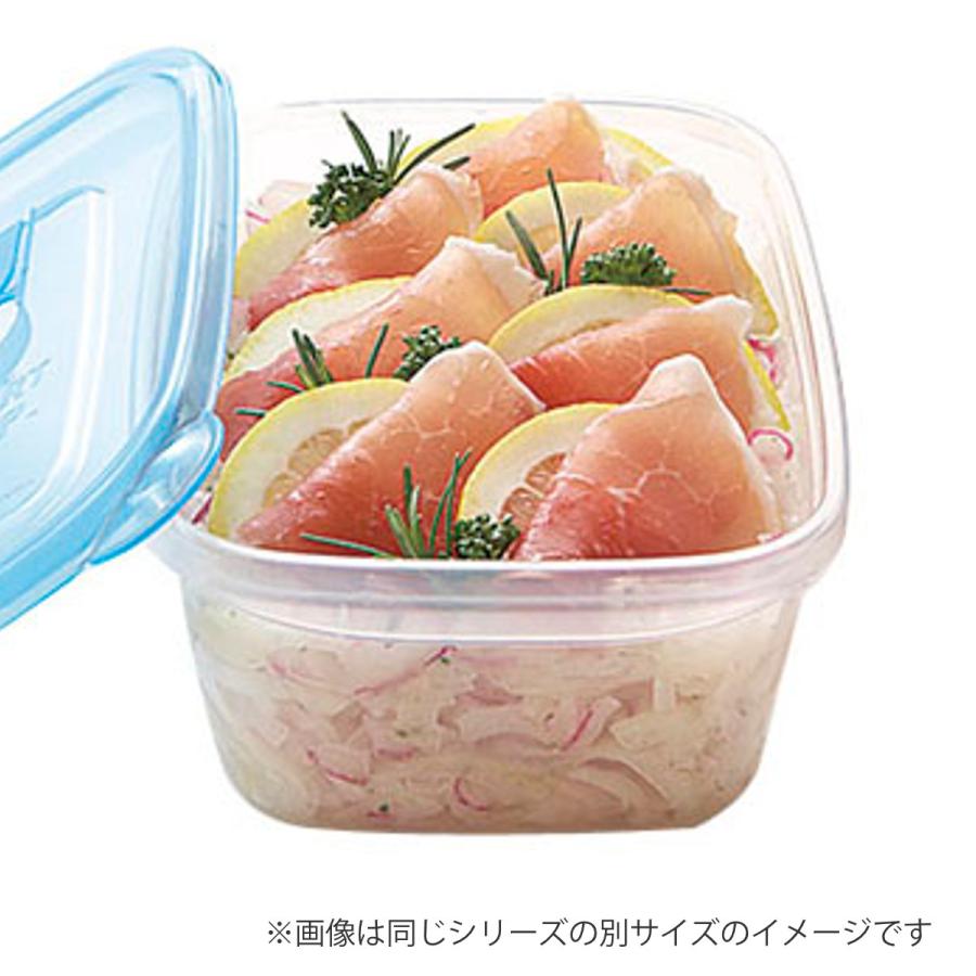 保存容器 940ml スマートフラップ KB 角型 L 2個入 （ 日本製 抗菌