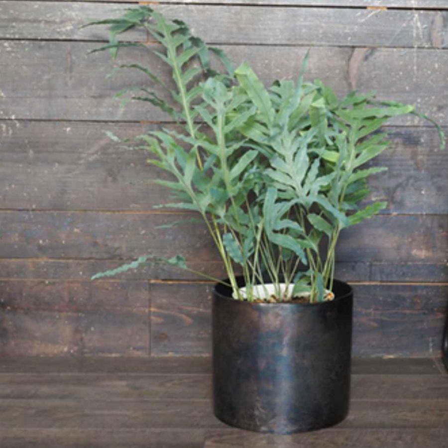 新版 植木鉢 AMシリンダーポット 直径24.5×高さ22cm （ プランター プラントポット 植物用ポット 花器 鉢カバー ポット 花瓶 花びん ）