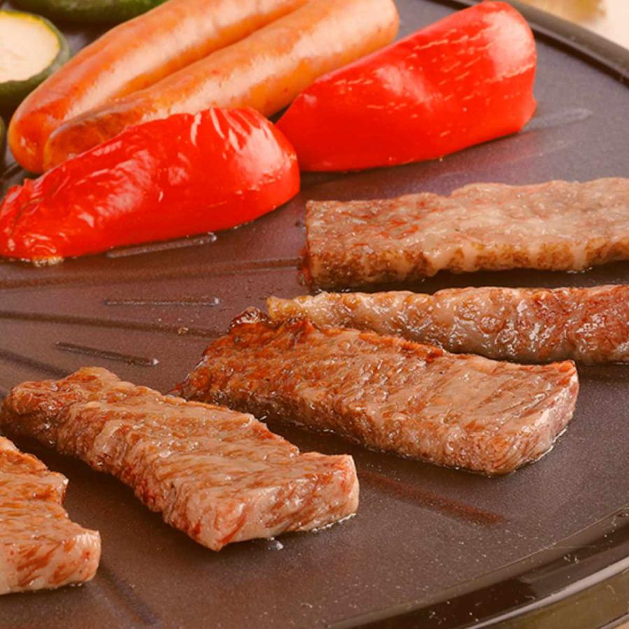 エムケー精工 無煙ロースター ヘルシーグリル ( ホットプレート エムケー精工 無煙ロースター ヘルシーグリル ( ホットプレート