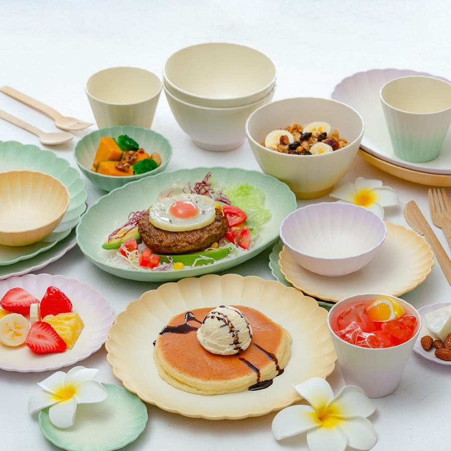 宮本産業 プレート 24cm L フラワープレート Shell プラスチック 宮本産業 プレート 24cm L フラワープレート Shell プラスチック