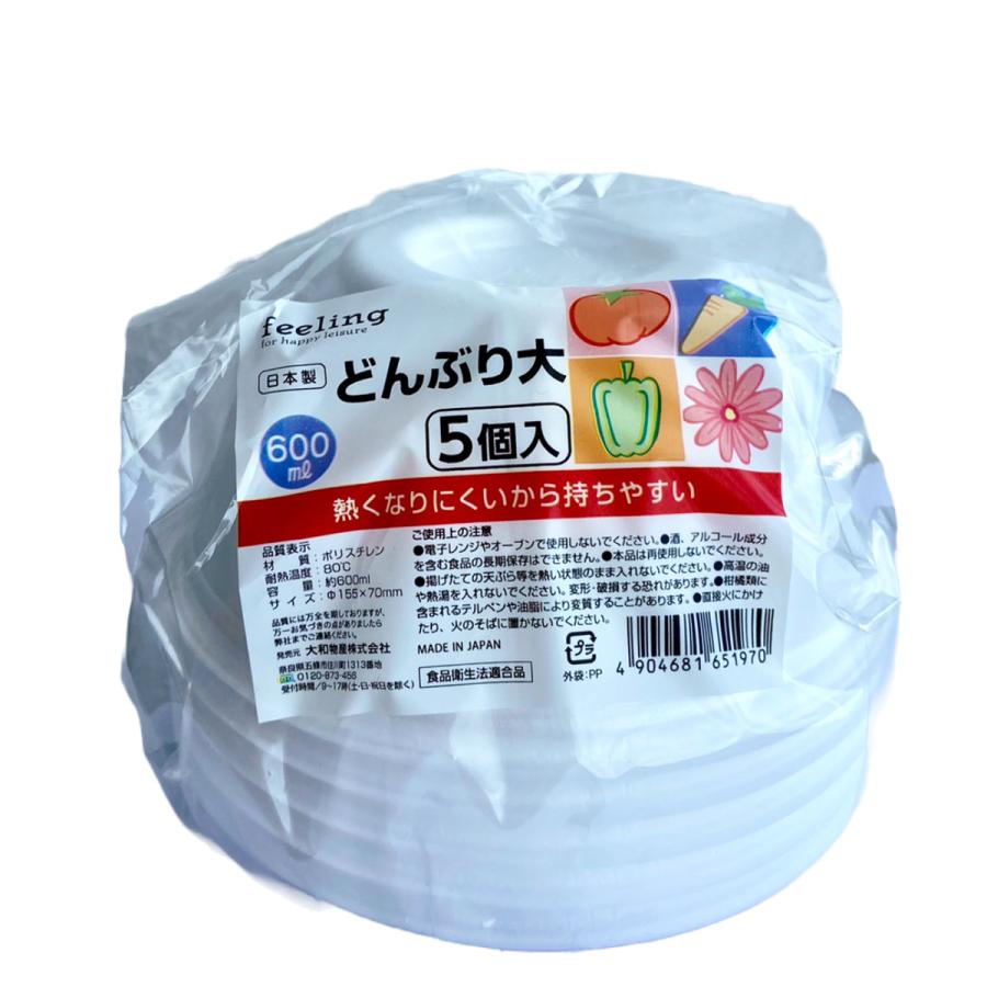 飛鳥窯 ラーメン鉢 絵変わり どんぶり 丼 大きめ ラーメン そば うどん