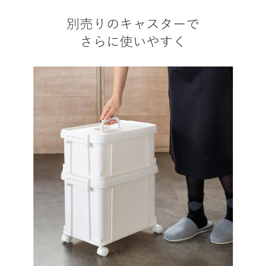 SANKA 収納ボックス ナチュラトラックス 幅38.8×奥行24.6×高さ17.5cm