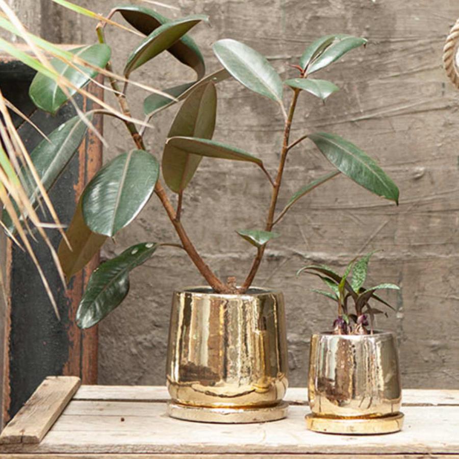 Copper素材 インダストリアルなフラワースタンド 多肉植物