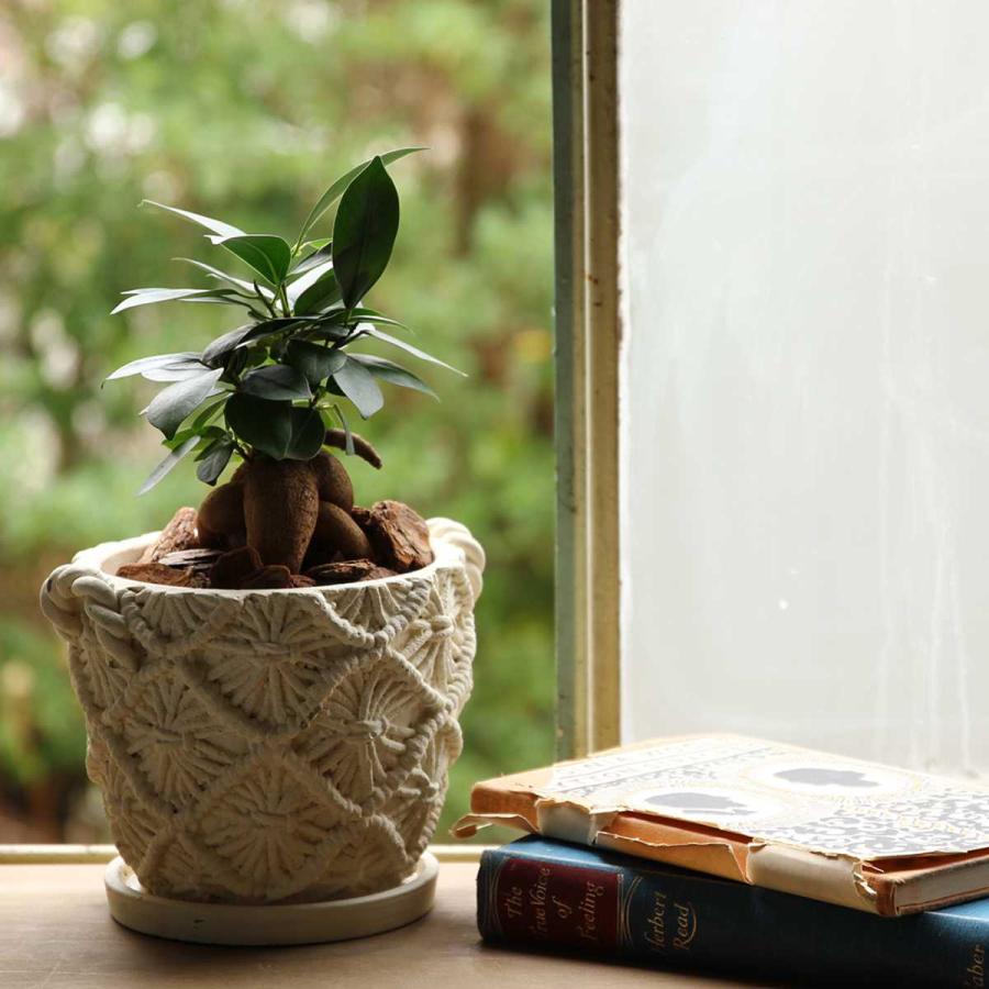 鉢　置物 風水・開運インテリア・跳ね馬の置物（立ち馬） Lサイズ