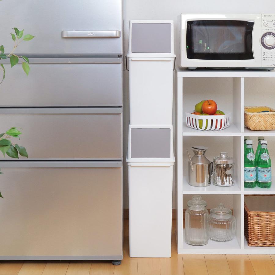 吉川国工業所 ゴミ箱 17L フロントオープン トラッシュビン ベーシック