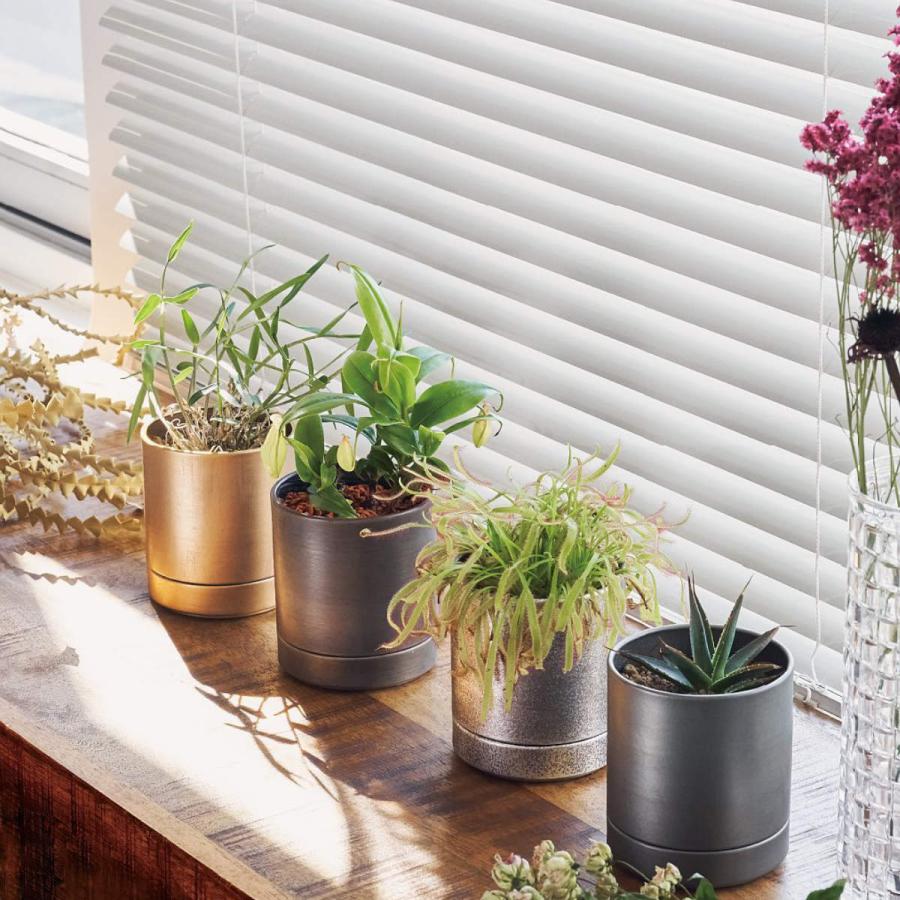 植木鉢 MC円柱メタルECOポット 受け皿付き 直径10cm 植木鉢 MC円柱メタルECOポット 受け皿付き 直径10cm