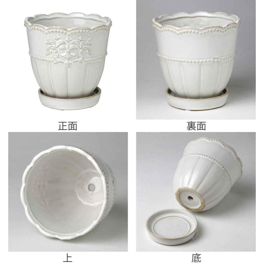 SPICE of Life 植木鉢 リスブロン ラウンドプランター Lサイズ