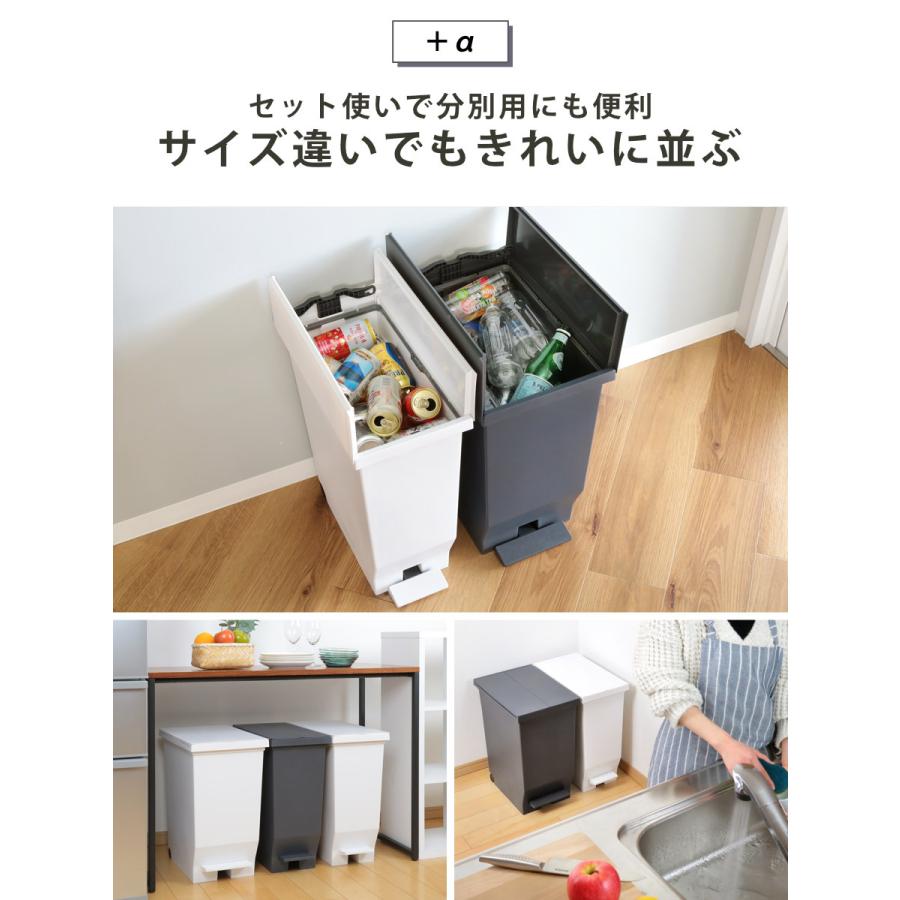 アスベル（ASVEL） ゴミ箱 30L エバン 両開きペダルペール （ ごみ箱