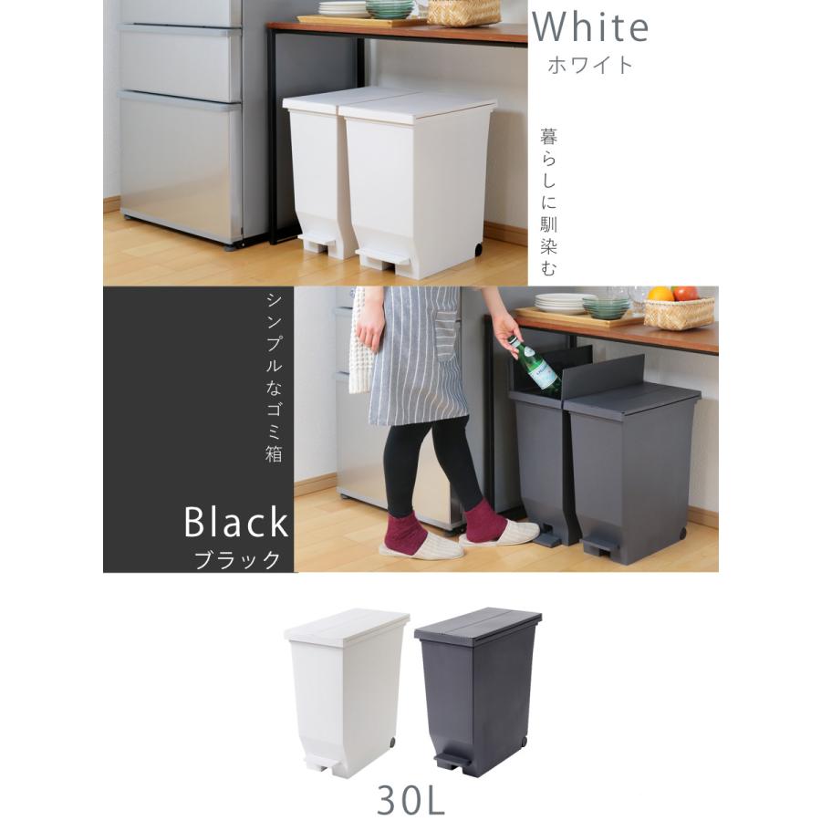 アスベル（ASVEL） ゴミ箱 30L 同色2個セット エバン 両開きペダル