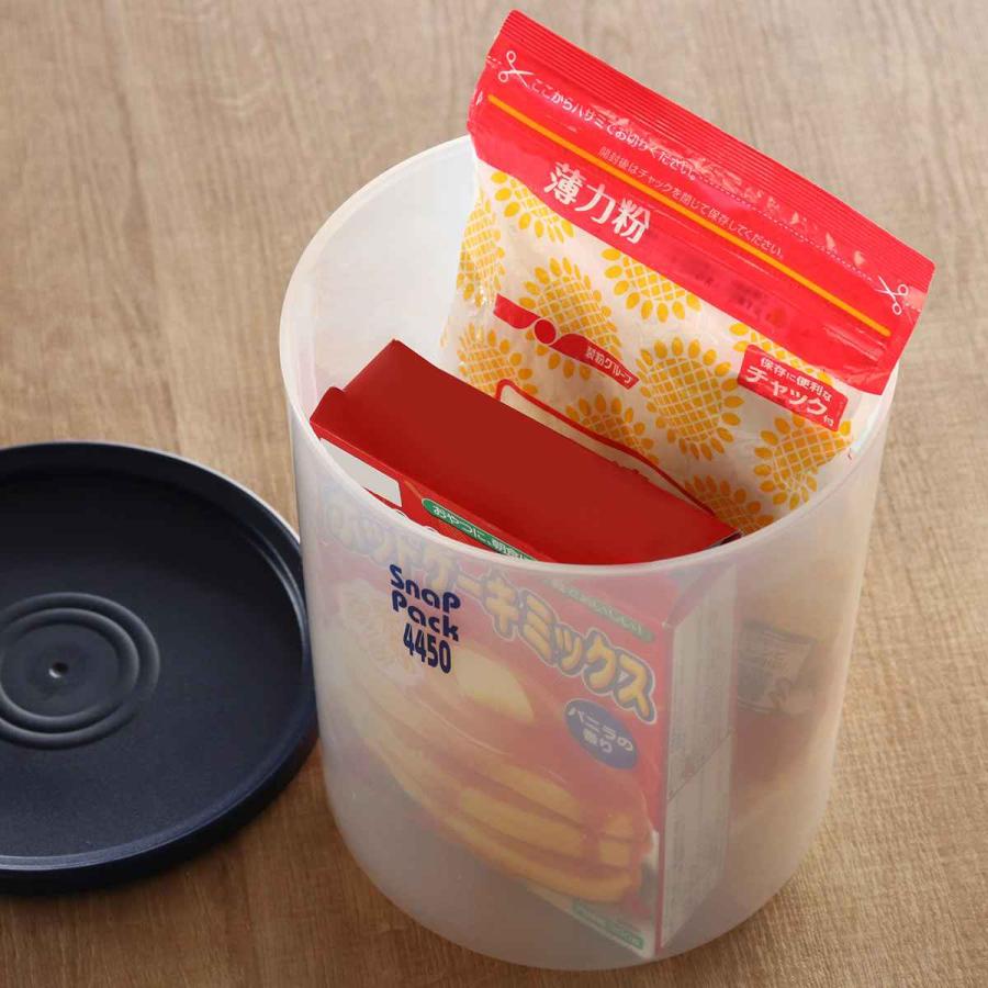TAKEYA（タケヤ） 保存容器 4.5L スナップパックブルー4450 （ 密閉