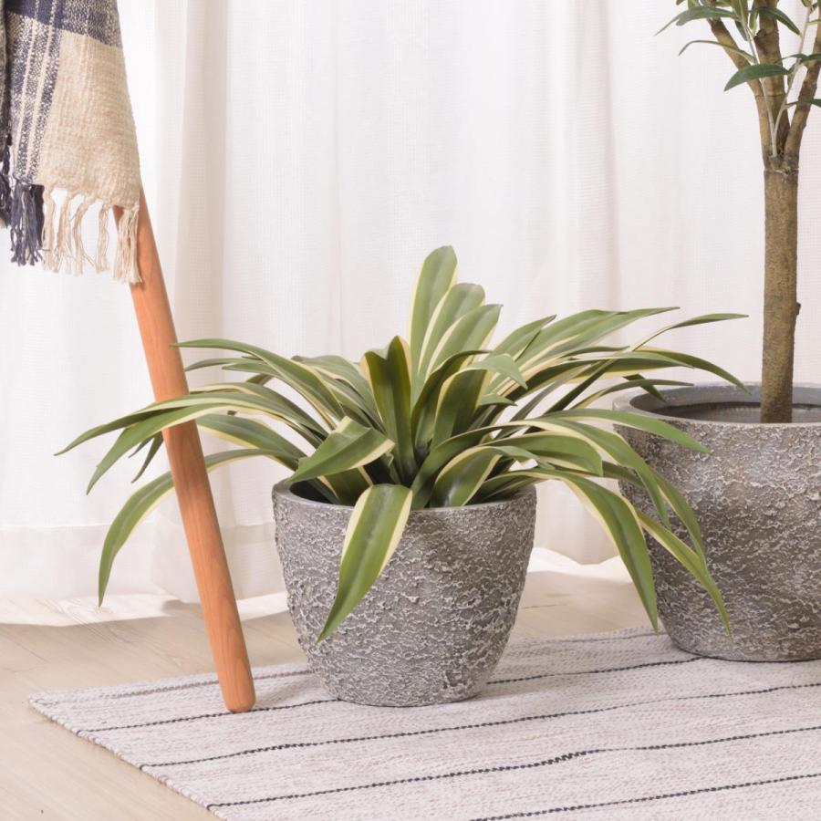 東谷 プランター グリーンベース 直径25×高さ20cm （ 植木鉢 プラント