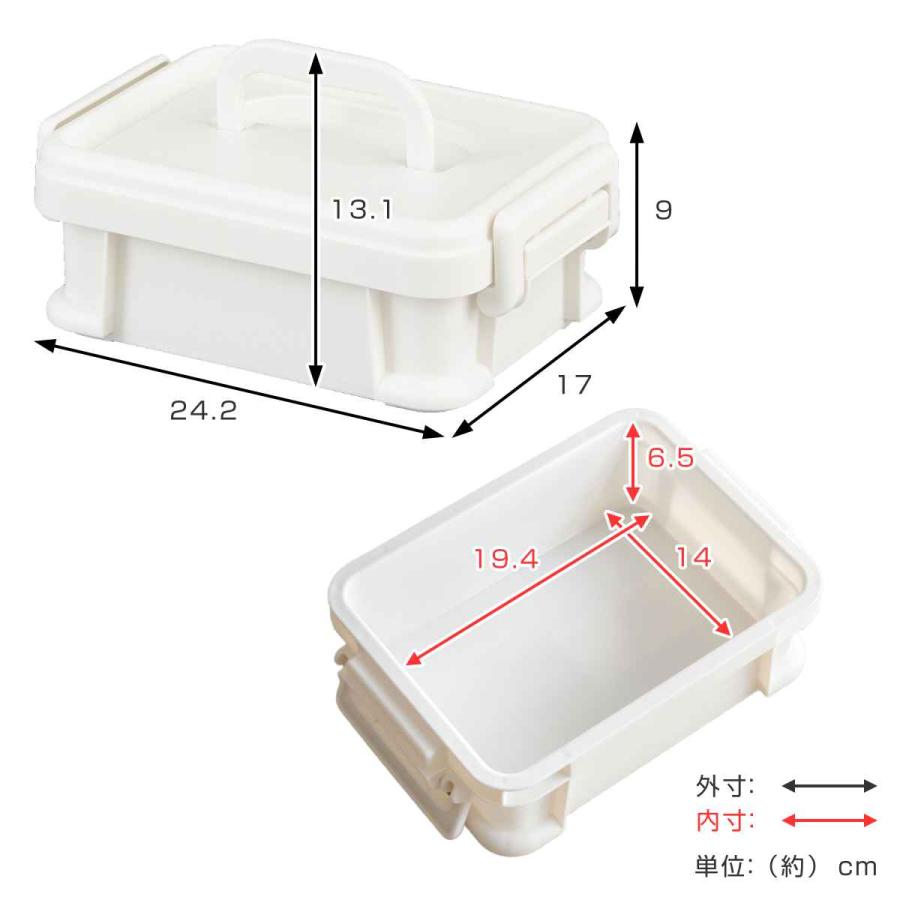 SANKA 収納ボックス ナチュラトラックス 幅24.5×奥行17.2×高さ