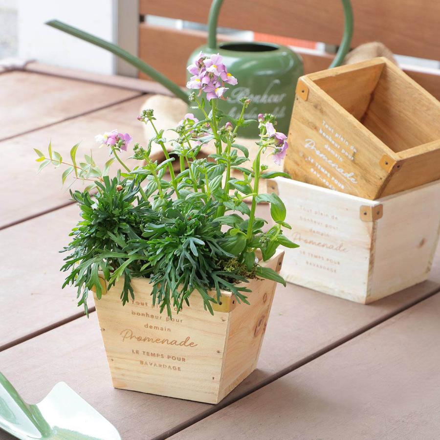 植木鉢 ナチュラルウッドプランタースクエア Sサイズ 木製 植木鉢 ナチュラルウッドプランタースクエア Sサイズ 木製