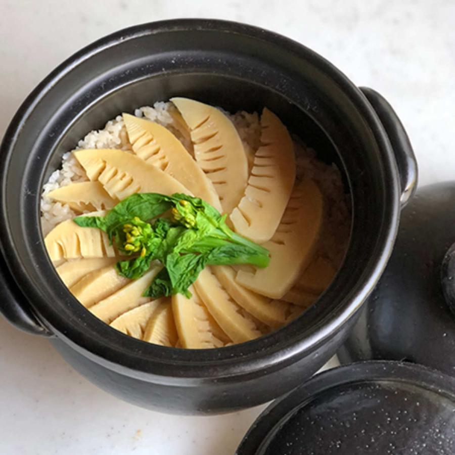 炊飯土鍋 3合 絶品ごはん鍋 中蓋付き 萬古焼 日本製 ( ガス火 炊飯土鍋 3合 絶品ごはん鍋 中蓋付き 萬古焼 日本製 ( ガス火