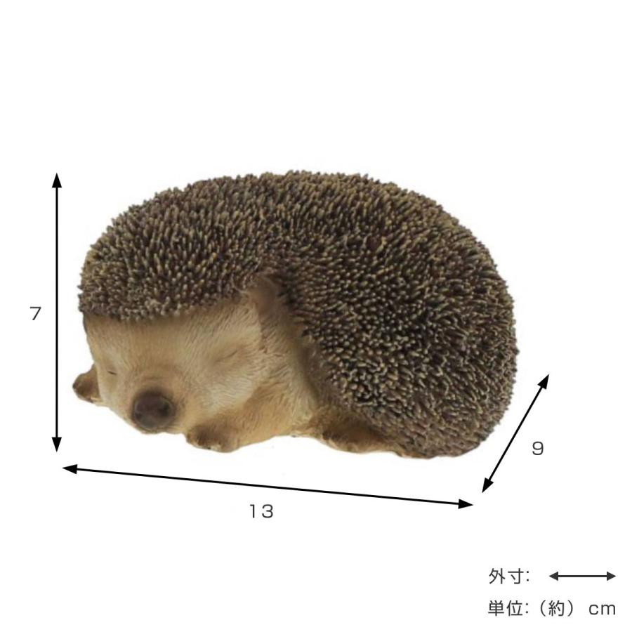 オーナメント ハリネズミ おやすみ （ 置物 ガーデンオーナメント