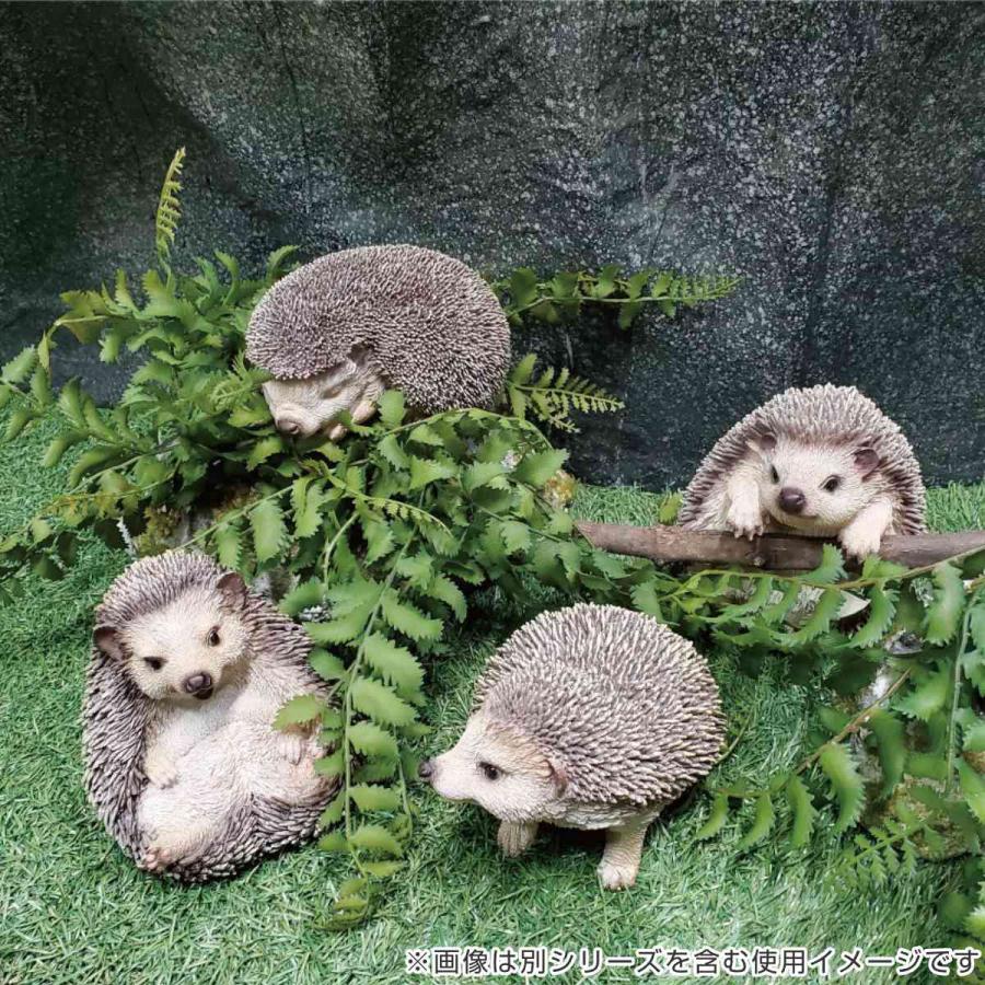 WONDERDECOR ハリネズミ ガーデンオーナメント 2022 オーナメント ハリネズミ おやすみ （ 置物 ガーデンオーナメント