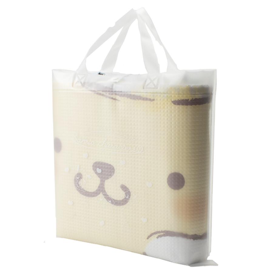 アサヒ興洋 レジャーシート 1人用 93.4×156cm サンリオキャラクターズ