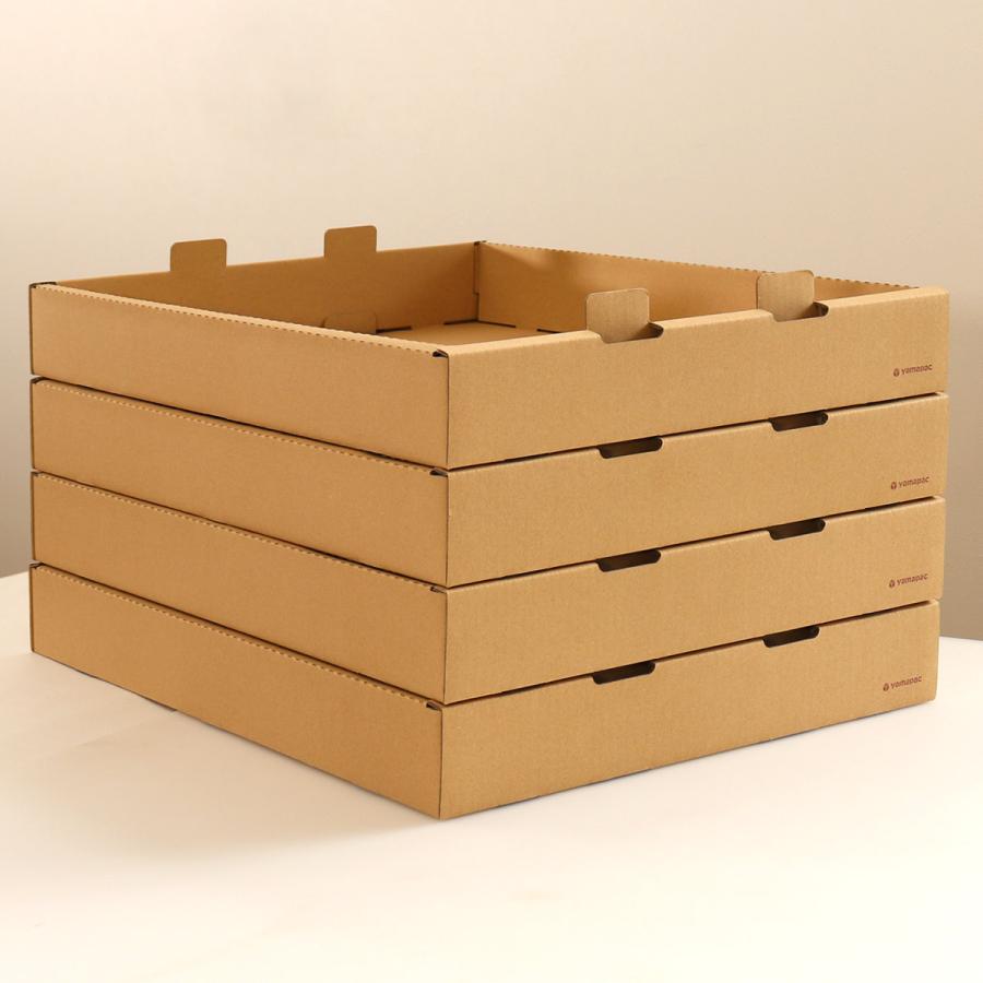 ばんじゅう フードコンテナー ダンボール製 M-02 10枚セット