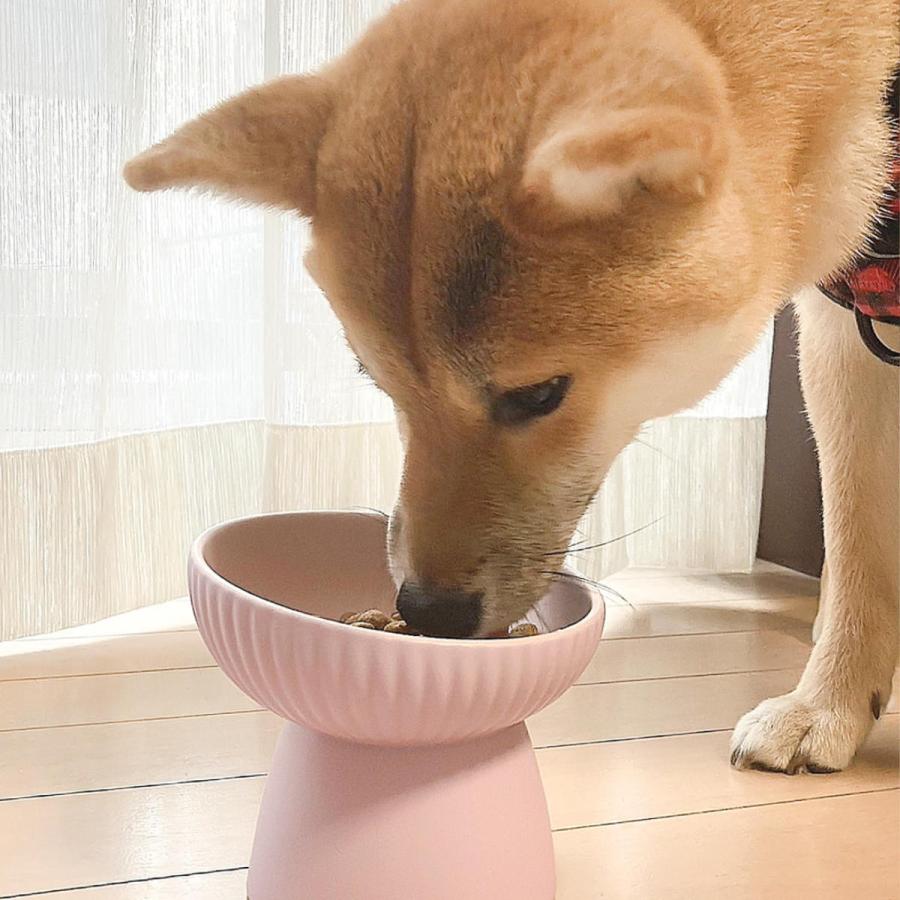 【限定品】北欧 ポーランド食器 おしゃれ 猫 犬 高さのある餌皿 フードボウル 楽天市場】【楽天1位】ペットボウル スタンド 高さがある 傾斜