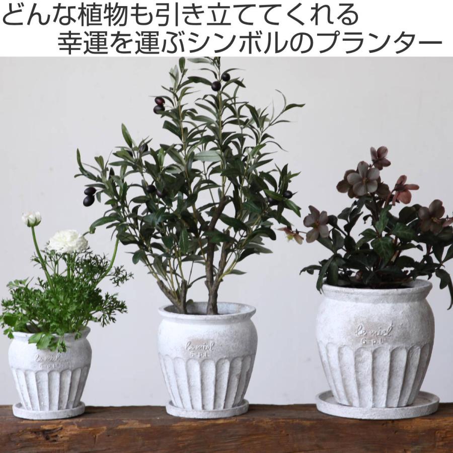 SPICE of Life 植木鉢 HONEYBEE プランター Lサイズ ( プラント SPICE of Life 植木鉢 HONEYBEE プランター Lサイズ ( プラント