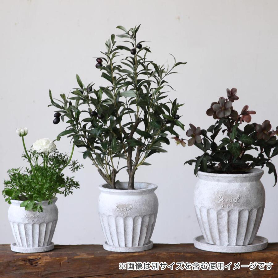 SPICE of Life 植木鉢 HONEYBEE プランター Lサイズ ( プラント SPICE of Life 植木鉢 HONEYBEE プランター Lサイズ ( プラント