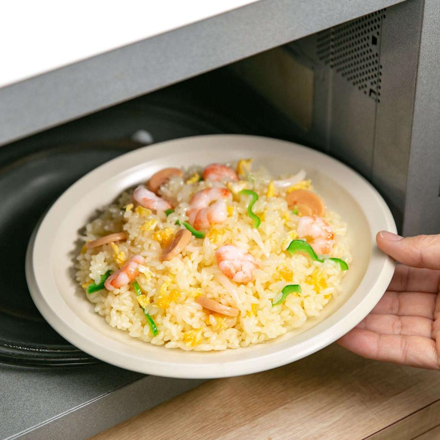 プレート 23cm L AirStack エアスタック 磁器 美濃焼 同色5枚セット