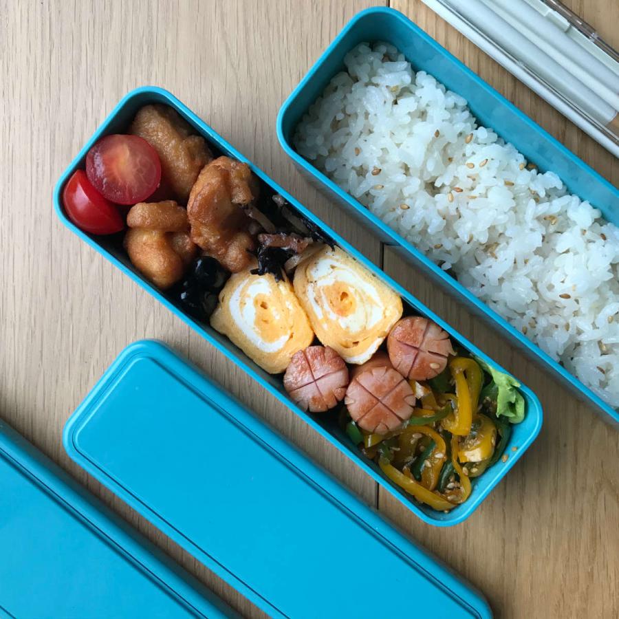 三好製作所 お弁当箱 GEL-COOL slim SL 2段 700ml （ 弁当箱 ランチ