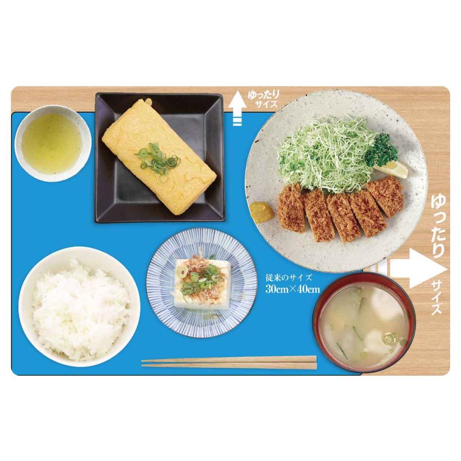 ランチョンマット 50×33cm 大判 無地 抗ウイルス 塩化ビニル樹脂